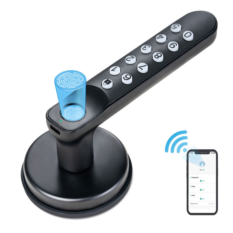 T02 Smart Fingerprint Door Knob, Keyless Entry Door Locks With Keypads, Backup Key, Smart Door Lock On Tuya App
