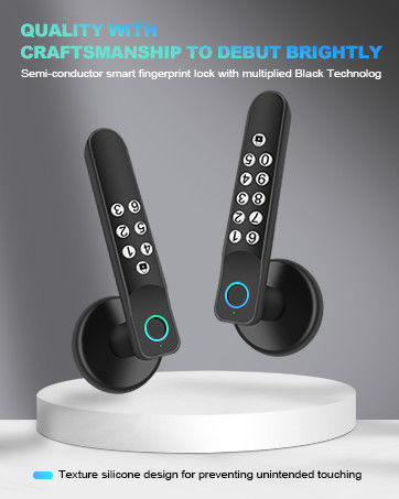 T02 Smart Fingerprint Door Knob, Keyless Entry Door Locks With Keypads, Backup Key, Smart Door Lock On Tuya App