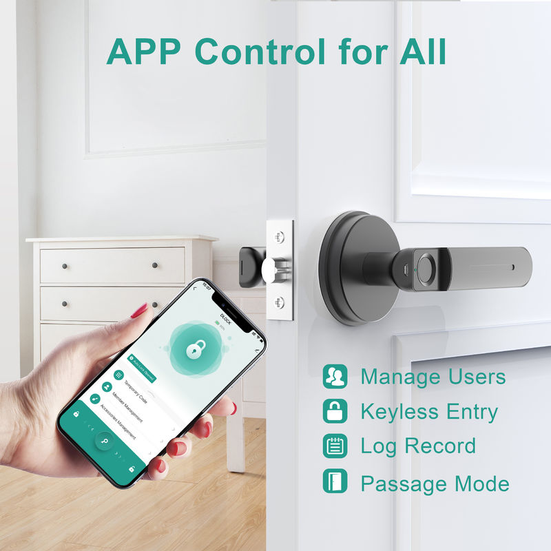 D01 Smart App Function, Smart Fingerprint Door Lock, Biometric Door Lock, With Handle, Room Door Lock For Bedroom Office