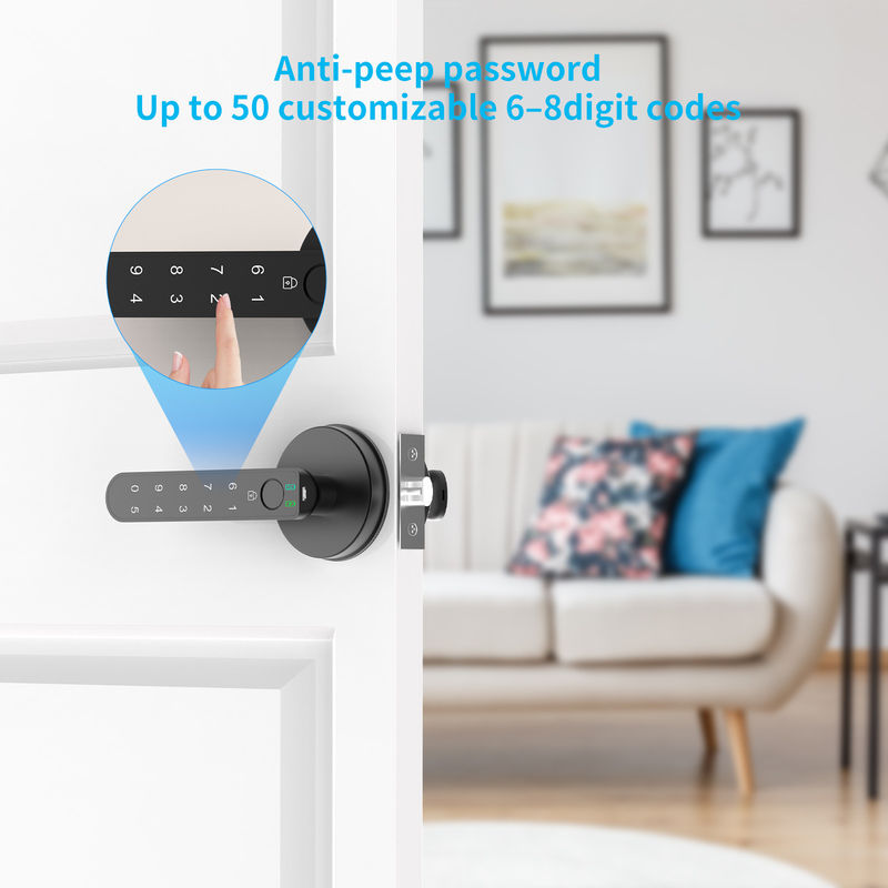 Smart Fingerprint Door Lock With Keypads, C02, Handle, Passwords, Fingerprint, Keyless Entry Door Lock For Home