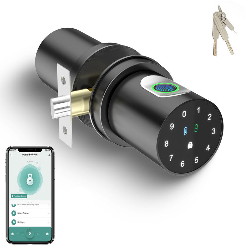 Q1 Black Smart Door Lock Fingerprint Door Knob for Home Bedroom