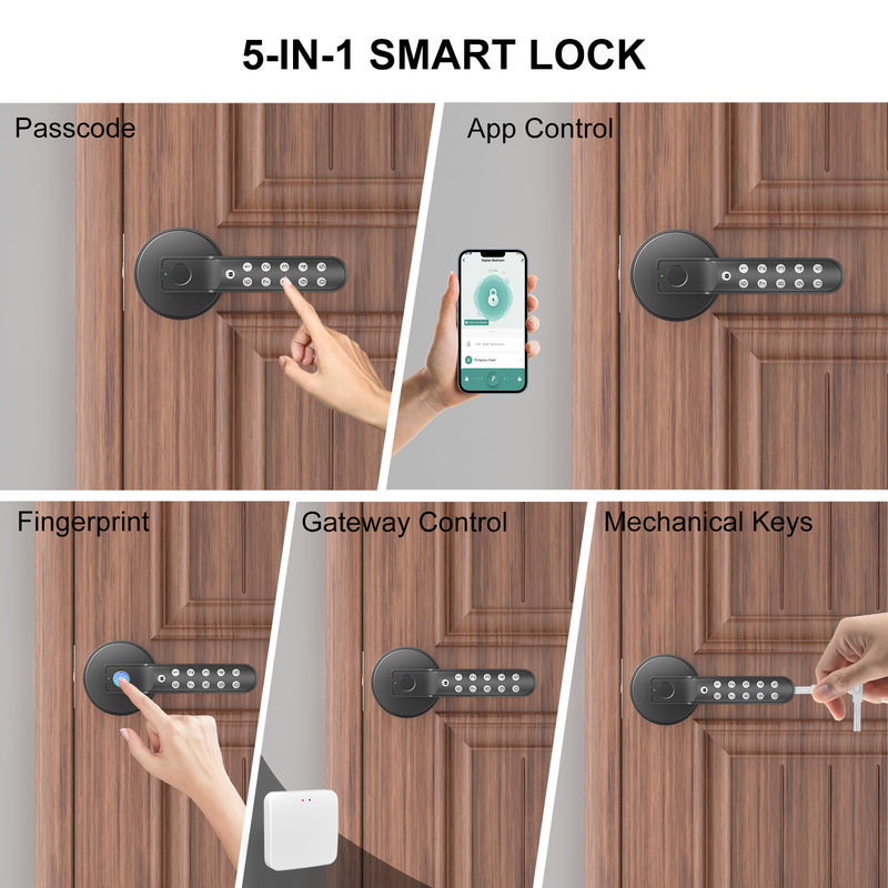 Smooth Rounded Handle Zinc Alloy Fingerprint Door Lock for Secure and Convenient Entry